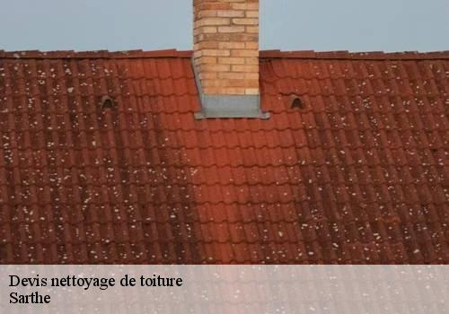 Devis nettoyage de toiture