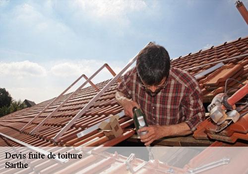 Devis fuite de toiture Sarthe 