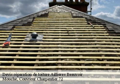 Devis réparation de toiture  aillieres-beauvoir-72600 Mouche, Couvreur Charpentier 72