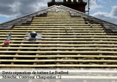 Devis réparation de toiture  le-bailleul-72200 Mouche, Couvreur Charpentier 72