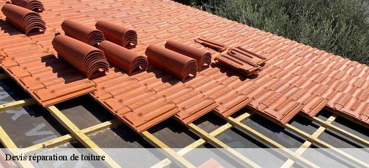 Devis réparation de toiture
