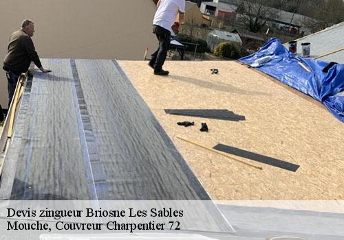 Devis zingueur  briosne-les-sables-72110 Mouche, Couvreur Charpentier 72