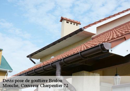 Devis pose de gouttière  brulon-72350 Mouche, Couvreur Charpentier 72