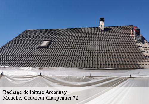 Bachage de toiture  arconnay-72610 Mouche, Couvreur Charpentier 72
