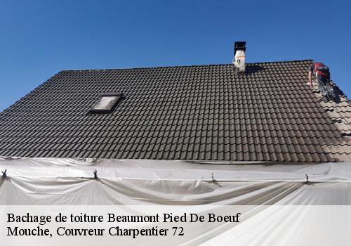 Bachage de toiture  beaumont-pied-de-boeuf-72500 Mouche, Couvreur Charpentier 72