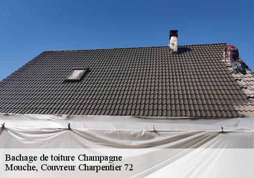 Bachage de toiture  champagne-72470 Mouche, Couvreur Charpentier 72