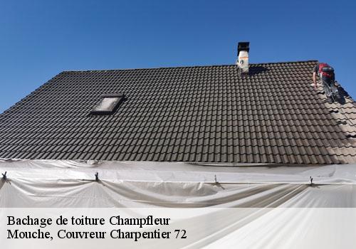 Bachage de toiture  champfleur-72610 Mouche, Couvreur Charpentier 72