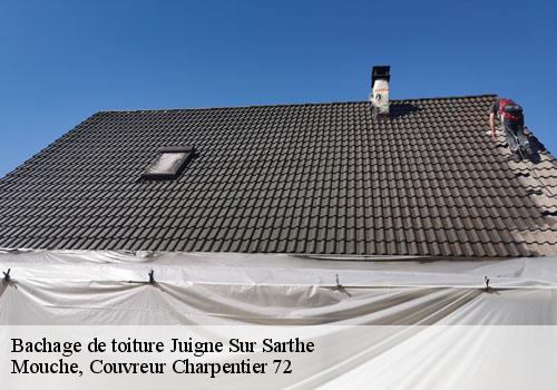 Bachage de toiture  juigne-sur-sarthe-72300 Mouche, Couvreur Charpentier 72