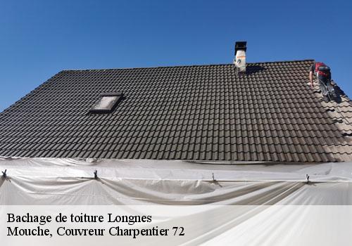 Bachage de toiture  longnes-72540 Mouche, Couvreur Charpentier 72