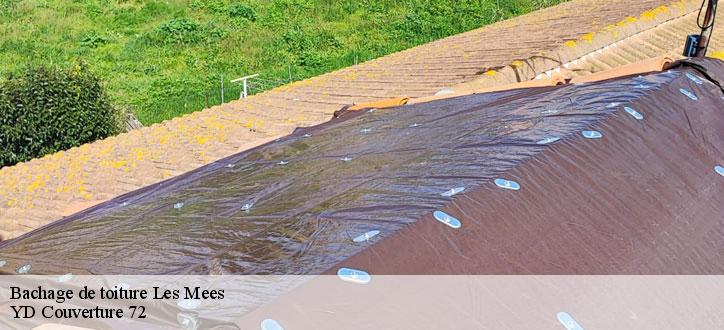 Bachage de toiture