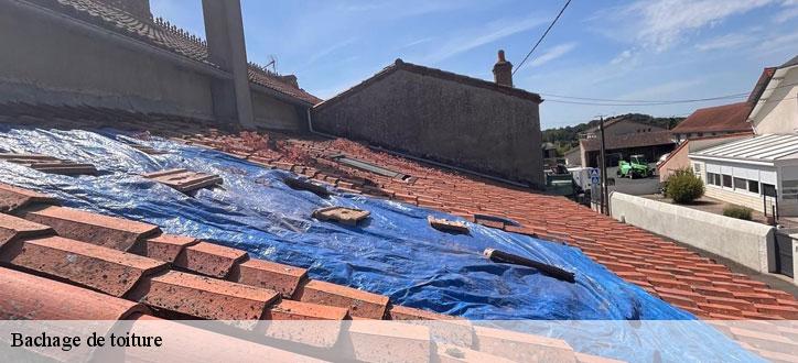 Bachage de toiture