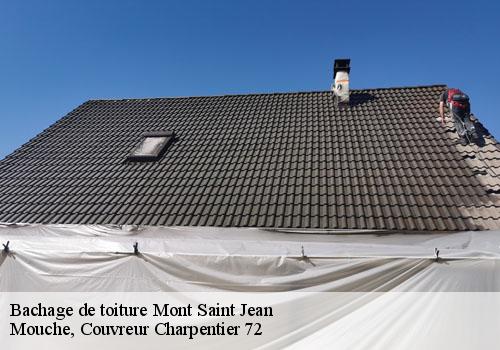 Bachage de toiture  mont-saint-jean-72140 Mouche, Couvreur Charpentier 72