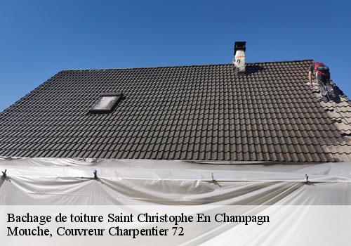 Bachage de toiture  saint-christophe-en-champagn-72540 Mouche, Couvreur Charpentier 72