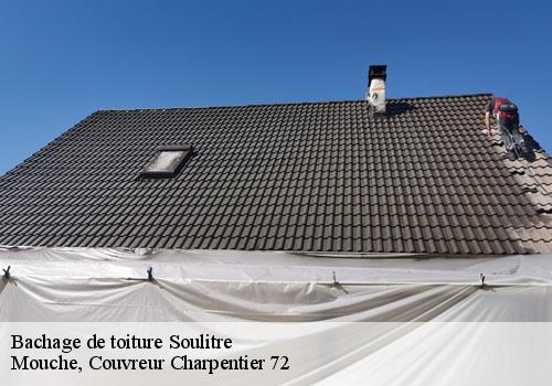 Bachage de toiture  soulitre-72370 Mouche, Couvreur Charpentier 72