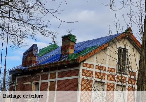 Bachage de toiture