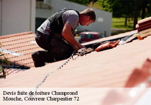 Devis fuite de toiture  champrond-72320 Mouche, Couvreur Charpentier 72