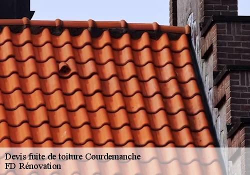 Devis fuite de toiture