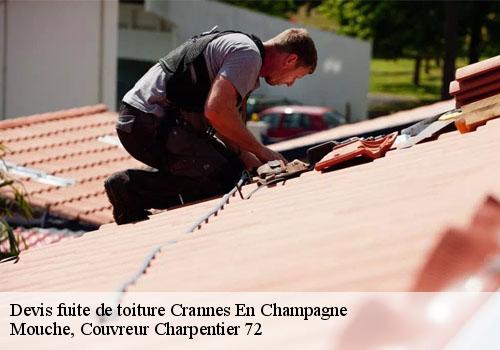 Devis fuite de toiture  crannes-en-champagne-72540 Mouche, Couvreur Charpentier 72