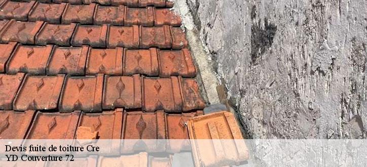 Devis fuite de toiture