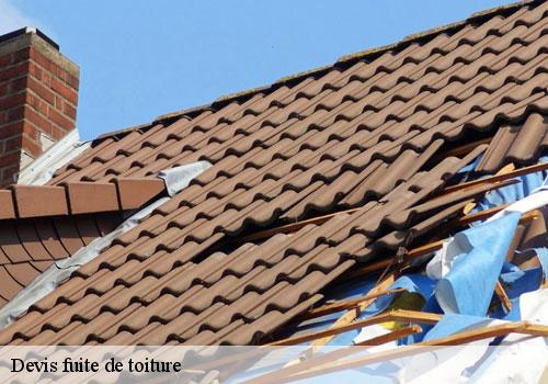Devis fuite de toiture