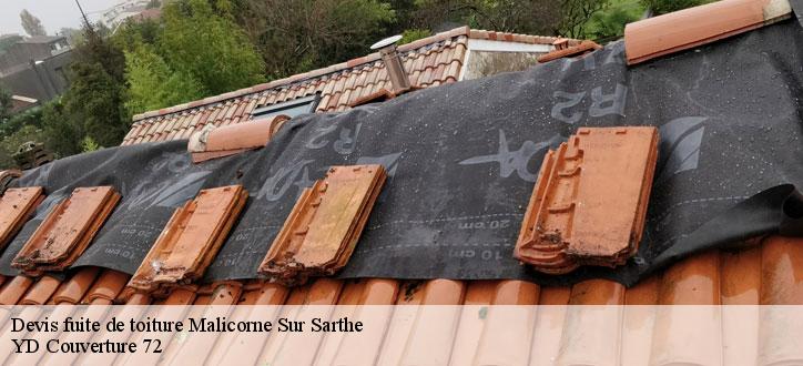 Devis fuite de toiture