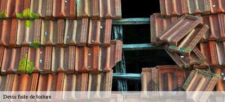 Devis fuite de toiture