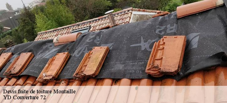 Devis fuite de toiture