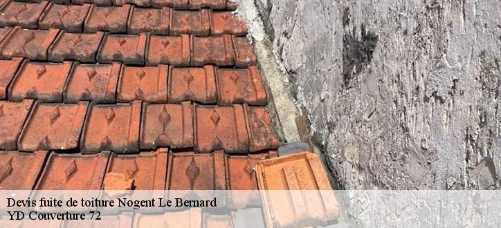 Devis fuite de toiture