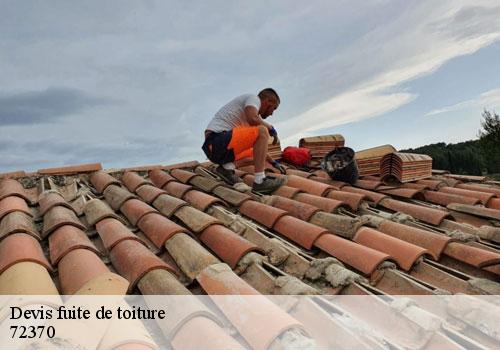 Couvreur charpentier Sarthe 