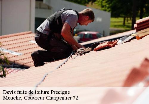 Devis fuite de toiture  precigne-72300 Mouche, Couvreur Charpentier 72