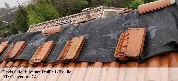 Devis fuite de toiture