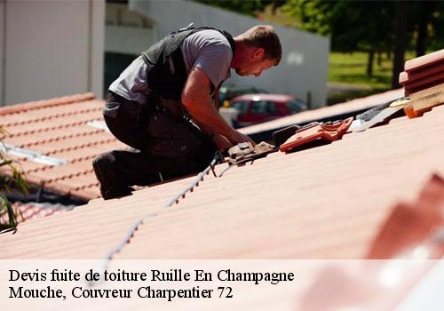 Devis fuite de toiture ruille-en-champagne-72240 Mouche, Couvreur Charpentier 72