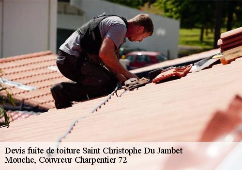 Devis fuite de toiture  saint-christophe-du-jambet-72170 Mouche, Couvreur Charpentier 72