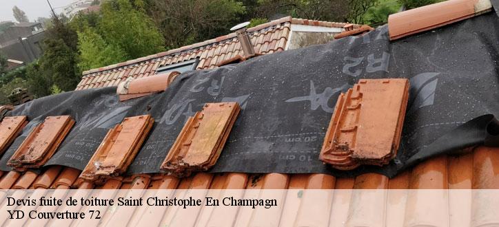 Devis fuite de toiture