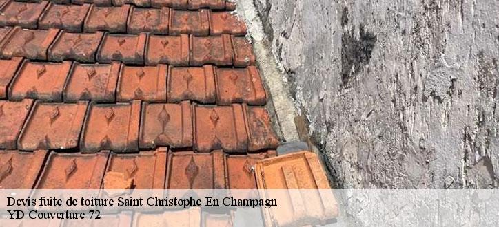 Devis fuite de toiture