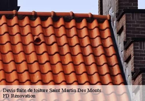 Devis fuite de toiture