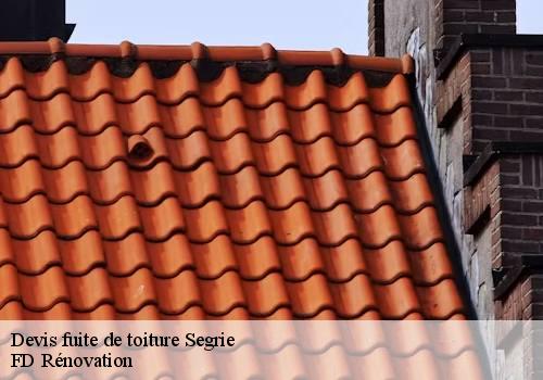 Devis fuite de toiture