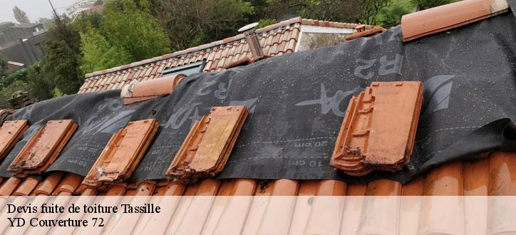 Devis fuite de toiture