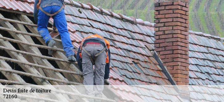 Devis fuite de toiture