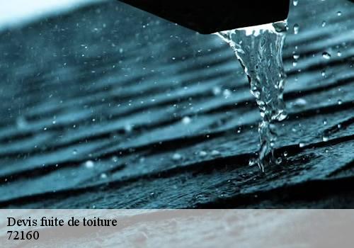 Devis fuite de toiture