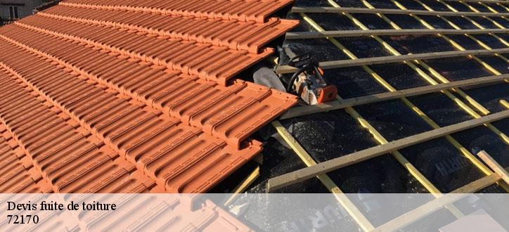 Devis fuite de toiture