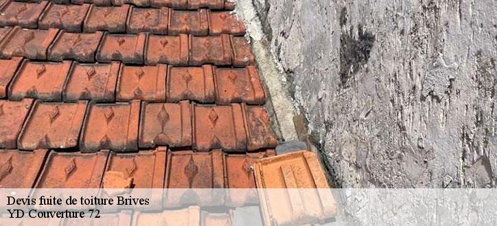 Devis fuite de toiture