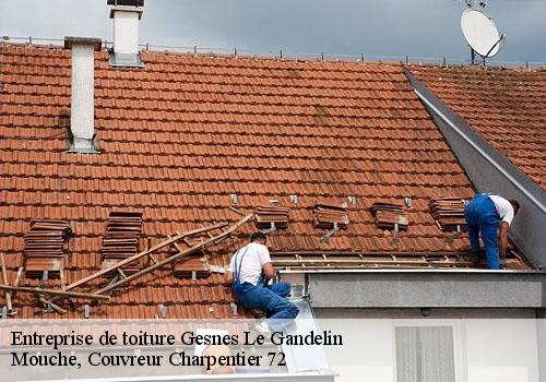 Entreprise de toiture  gesnes-le-gandelin-72130 Mouche, Couvreur Charpentier 72