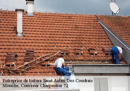 Entreprise de toiture  saint-aubin-des-coudrais-72400 Mouche, Couvreur Charpentier 72