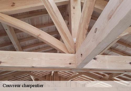 Couvreur charpentier