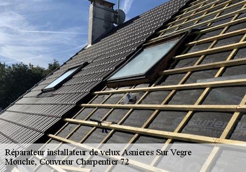 Réparateur installateur de velux  asnieres-sur-vegre-72430 Mouche, Couvreur Charpentier 72