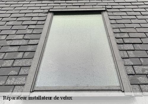 Réparateur installateur de velux