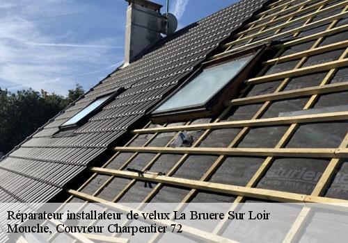 Réparateur installateur de velux  la-bruere-sur-loir-72500 Mouche, Couvreur Charpentier 72