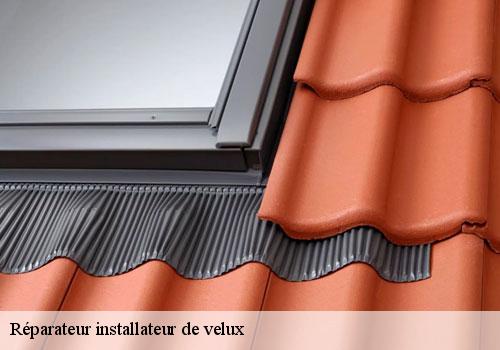 Réparateur installateur de velux