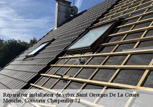 Réparateur installateur de velux  saint-georges-de-la-couee-72150 Mouche, Couvreur Charpentier 72